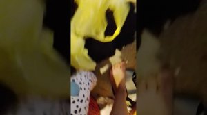 2896.mp4