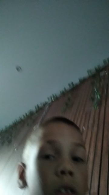 василёчек цветочек