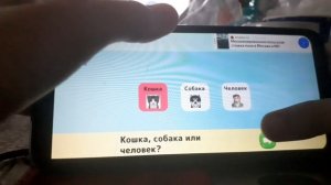 Я играю в игру: Кошка симулятор онлайн/ Зайдите в описание!!!🐱🐈🐈⬛🦁🐕🐶🤸♀️