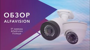Обзор IP видеокамер AlfaVision с линзами Fisheye