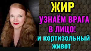 Жир - узнаём врага в лицо! И кортизольный живот.