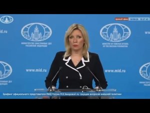 М.В.Захарова: Изменения в порядке пересечения границы РФ с 15 июня 2026 года