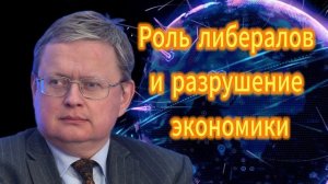 314. Михаил Делягин Роль либералов и разрушение экономики