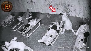 На Камеру Видеонаблюдения Попало Такое, Что Никто Не Ожидал Увидеть! Топ 60