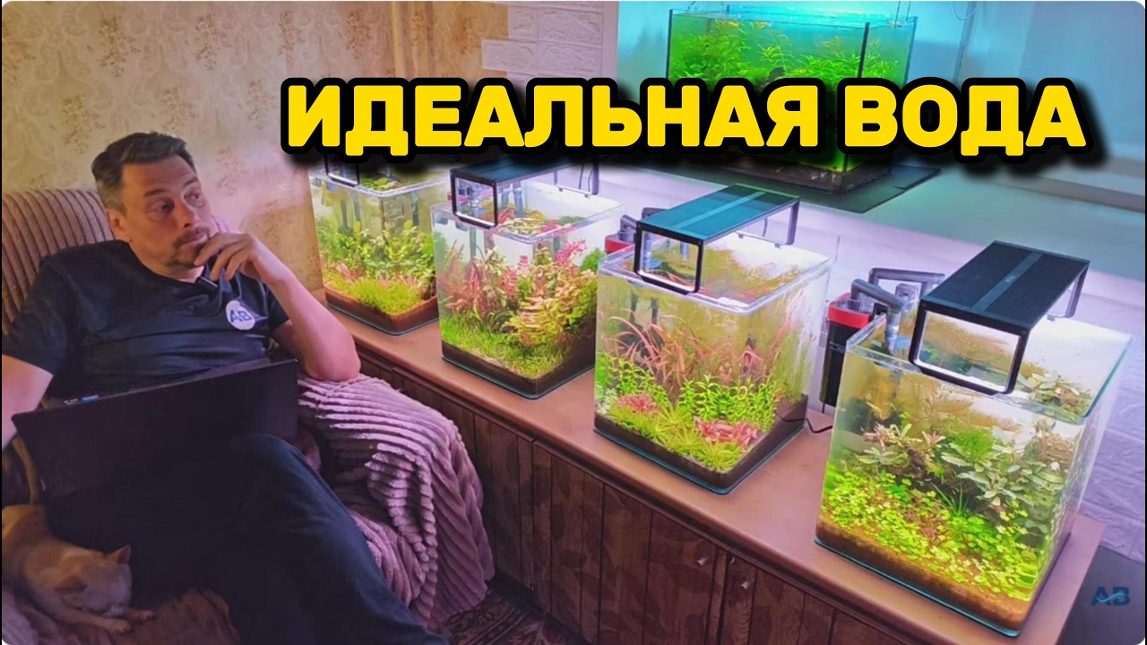 Параметры воды: что РЕАЛЬНО важно знать. смотреть онлайн