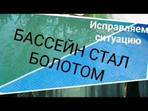 Что делать,если бассейн полностью зацвёл?