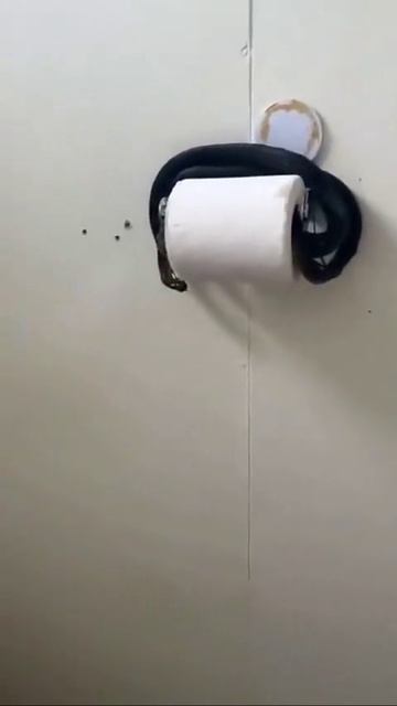 ����� � ���������