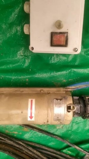 Помпа IBO 3ti20 PNR для свідравін за 175 $, замест 22-х гадовай помпы Wilo TWU 4-0216 FRG 600 Ойра