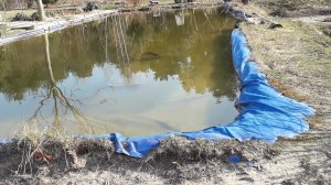 Самый дешевый искусственный водоем из ПВХ в саду