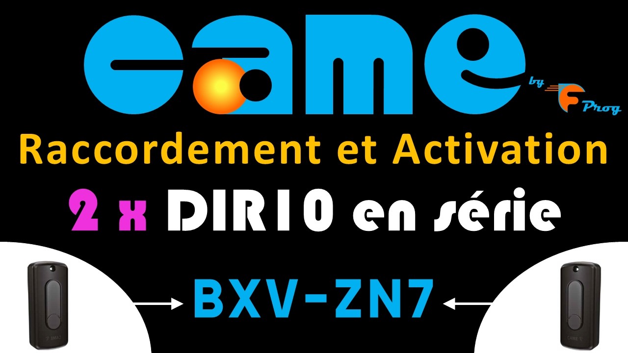 2 paires de DIR10 en série sur ZN7 CAME ( vérifier aussi fusible ZN7 si en défaut ) смотреть онлайн