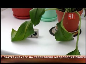 Директор подглядывал в туалете