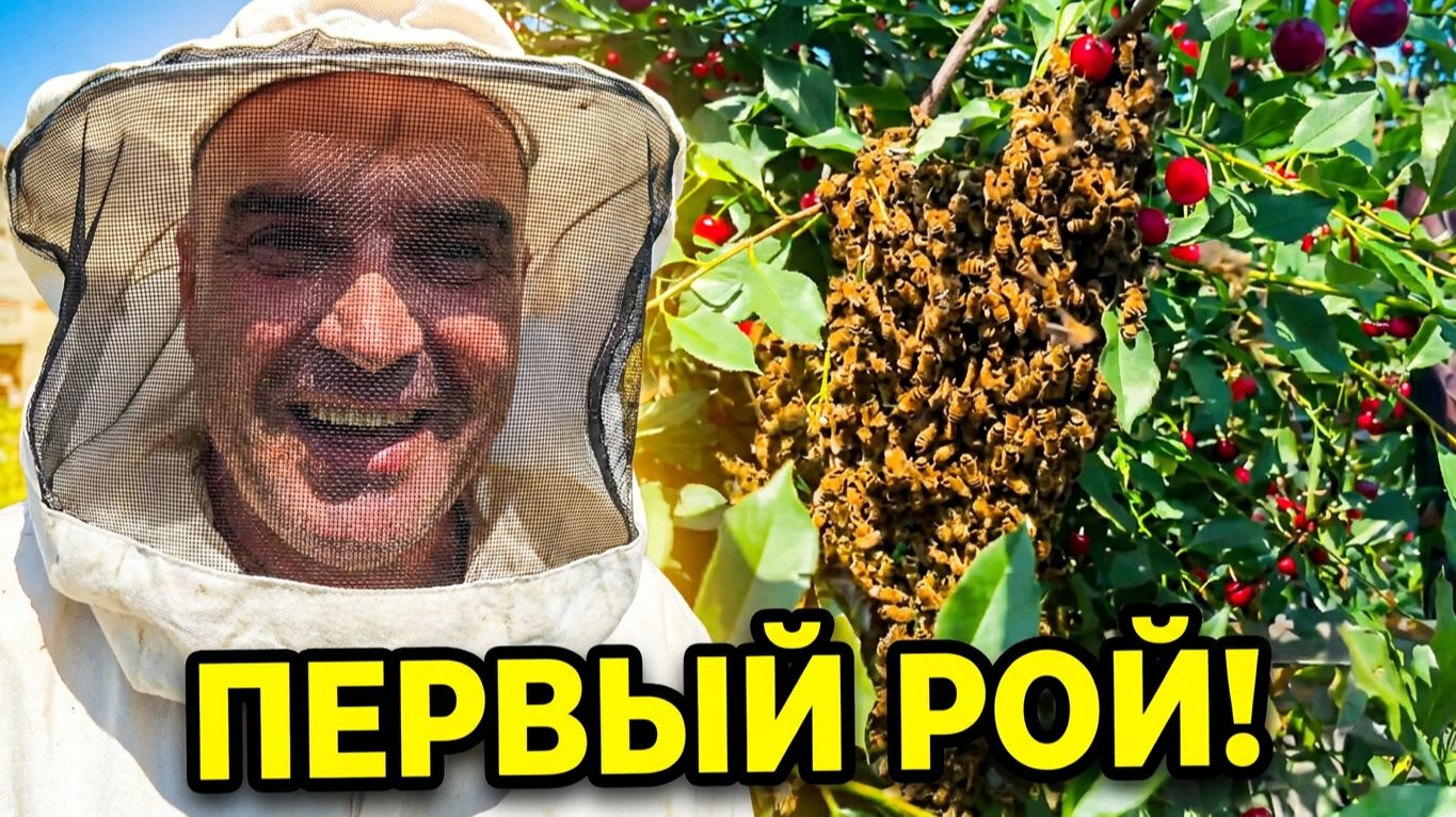 Пчеловодство
