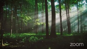 🛐 Молитва на Иных Языках Духа 🙏🏼 Praying in Tongues of Spirit 🛐