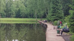 Утренний обзор с нижнего водоёма. Клёвое место, Лосиный остров.