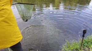 Утро на водоёме