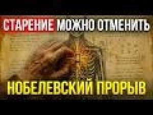 Как замедлить старение с помощью одной привычки: простой шаг к обновлению организма