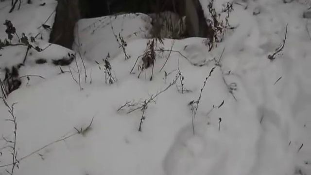 Канализация в частном доме. часть первая. смотреть онлайн
