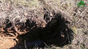 Делаем дренаж участка. Участок заболочен, вся вода с верхнего поля идёт через участок заказчика.