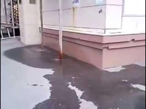 Пятерочка МГ12 смотреть онлайн