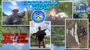 Подводная охота река Десна Деаф 26.06.2026