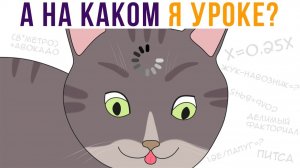 А на каком я уроке) Приколы с котами