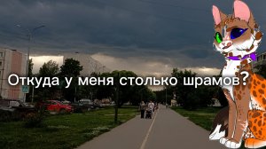 Откуда у меня столько шрамов? + Благодарность.