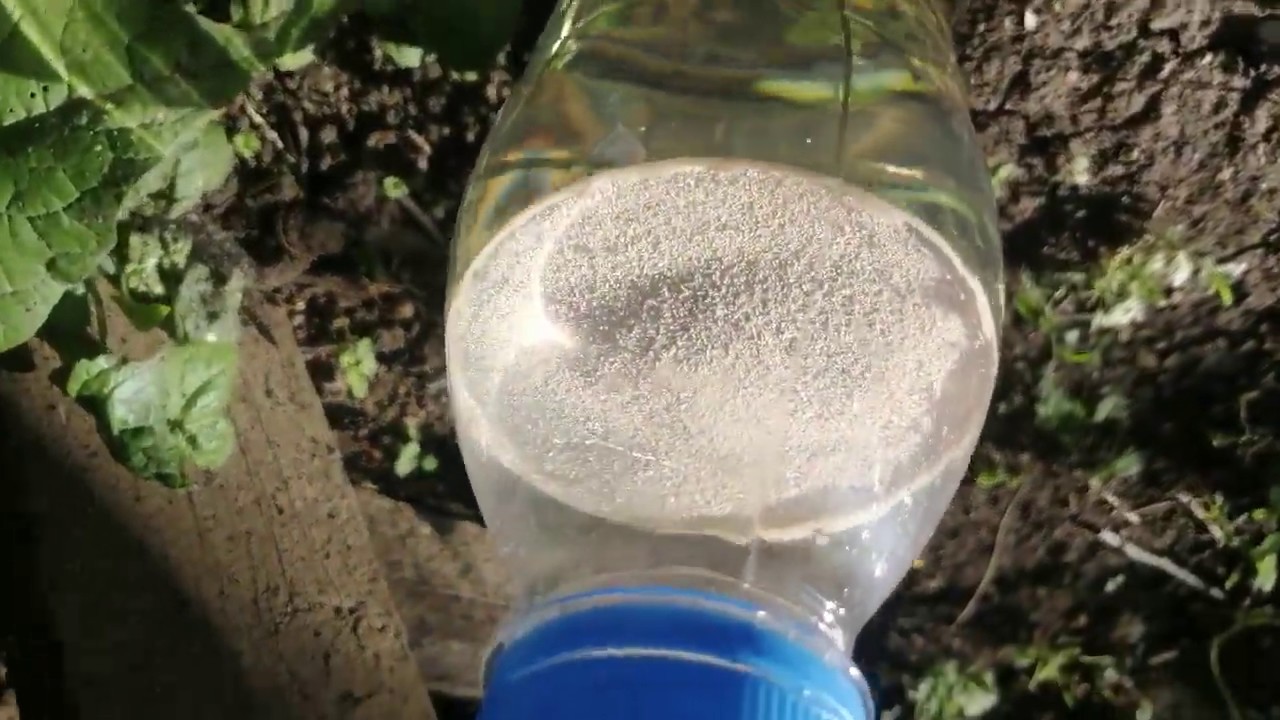 Всыпаем дрожжи в бутылку с водой и сахаром! смотреть онлайн