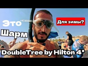 Египет зимой Уезжаю из DoubleTree by Hilton Sharks Bay Resort 4* Площадь Сохо Шарм Эль Шейх Выводы