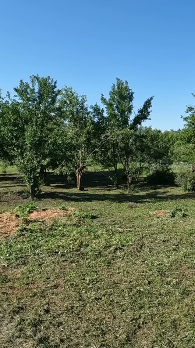 Деревенское начало дня