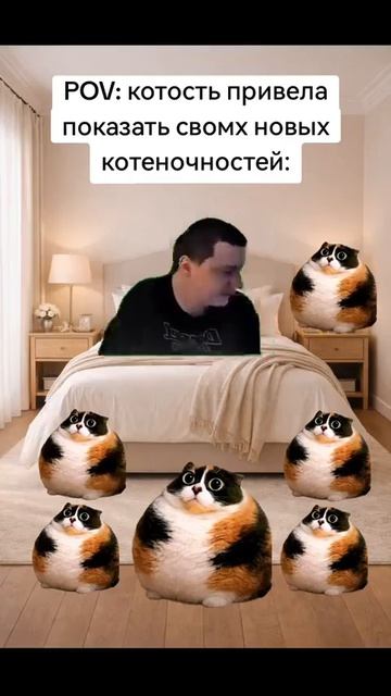 Котость