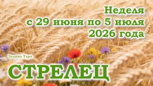 СТРЕЛЕЦ | ТАРО прогноз на неделю с 29 июня по 5 июля 2026 года
