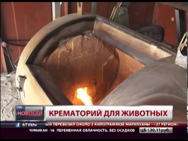 Крематорий для животных