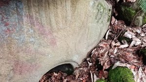 Видео 29 - Дольмен с барельефами (Урочище Черноморка)