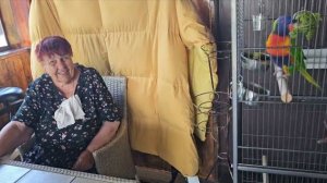 Сытники- А у нас во дворе привидение