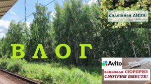 ВЛОГ.Сплошная липа. Заказала сюрприз через АВИТО