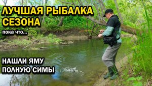 Нарвались на рыбу! Рыбалка по Симе на маленькой речке! Сахалин.  #рыбалка #сима #Сахалин