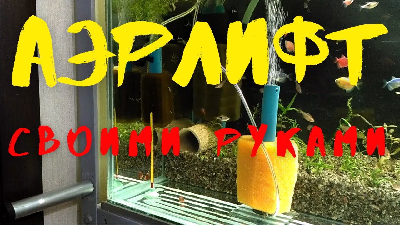 АЭРЛИФТНЫЙ ФИЛЬТР своими руками. НЕРЕСТОВЫЙ ЦИКЛ. смотреть онлайн