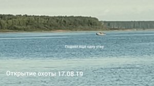 Браконьерство на открытии охоты в Прозорово, август 2019 г.
