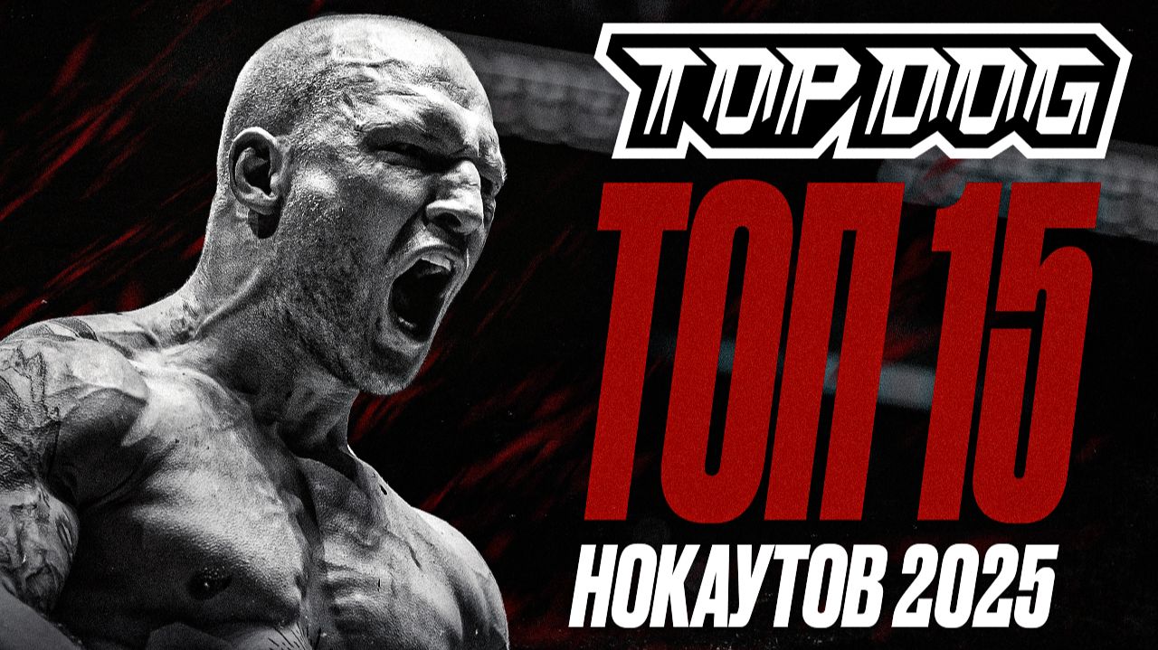 ТОП 15 НОКАУТОВ В TOP DOG | 2025 смотреть онлайн