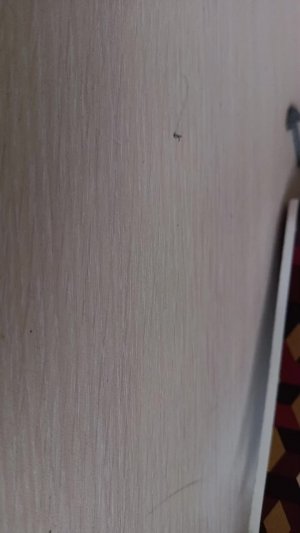 м
стандофф2