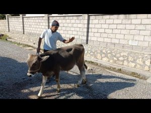 БКАЧАХОИ ШВЕД РАФТАН А ЧОМИ ОБИ ШУРИ 6 НАСОС .25 сентября 2025 г.