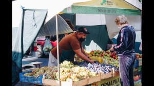 ЕЙСК/Ярмарка выходного дня/Цены/Продукция станичников/Адамово яблоко.
