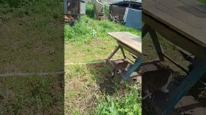 Огород