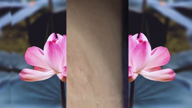 Достигните внутреннего покоя с помощью этих методов очищения лица смотреть онлайн
