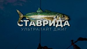 СТАВРИДА ЗАГИБАЕТ СПИННИНГ - КЛЕВ БЕЗ ОСТАНОВКИ. РЫБАЛКА на УЛЬТРАЛАЙТ ДЖИГ