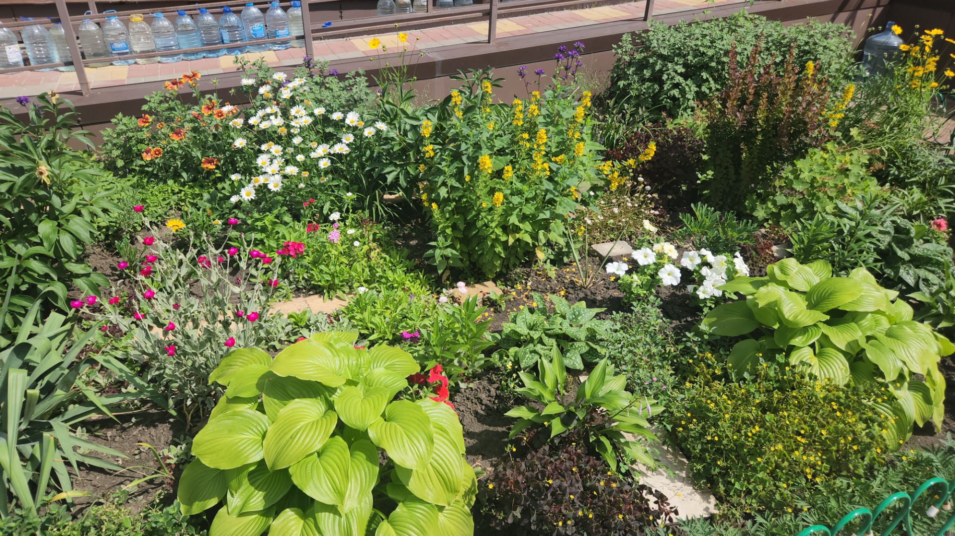 Огород и цветник наших конкурентов 🍅 🌸🌹