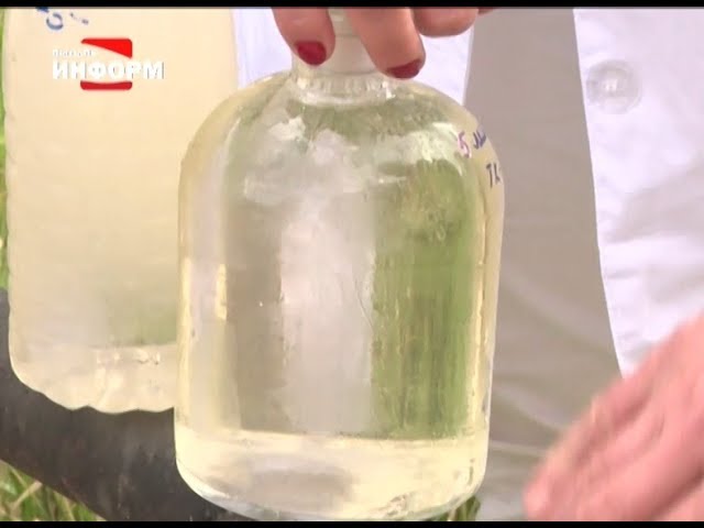 Жители пятого микрорайона пожаловались на качество воды смотреть онлайн