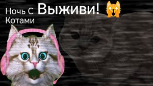 Я стала охранником. Выживаю с котами. Играю ночь с котами! 🙀🙀🤫