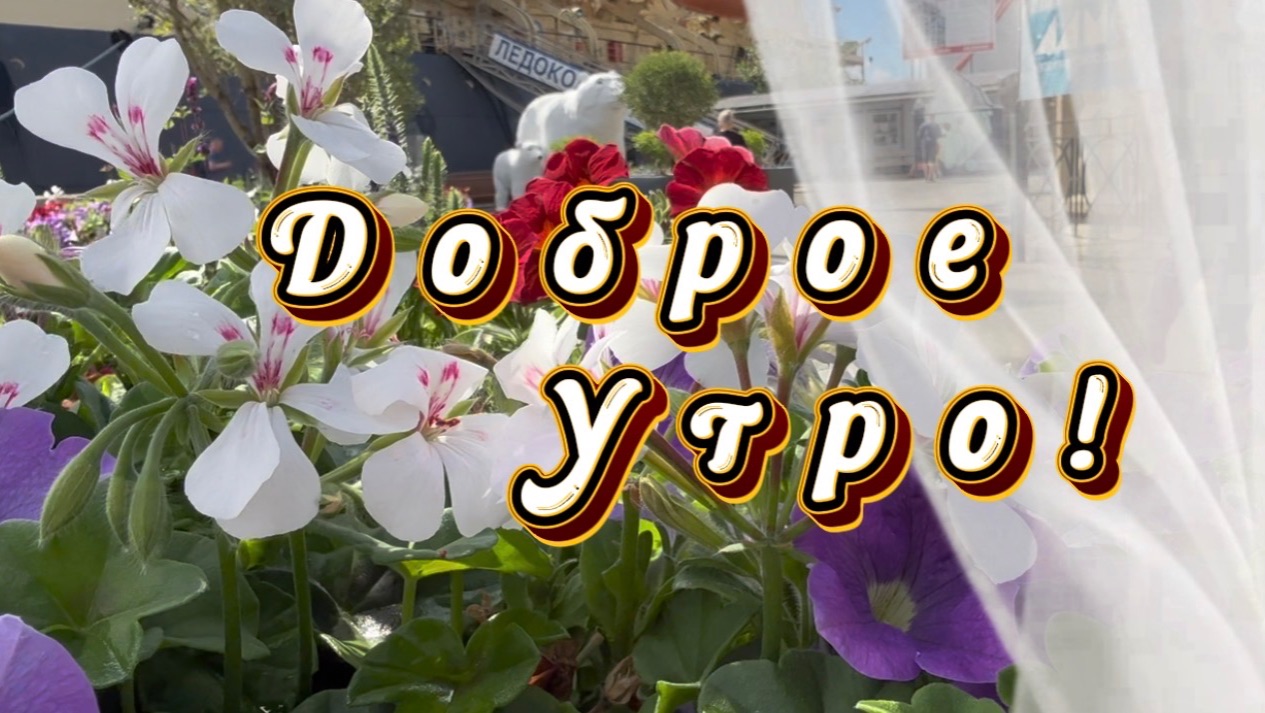Доброе утро! Песня с добрым утром смотреть онлайн