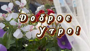 Доброе утро! Песня с добрым утром